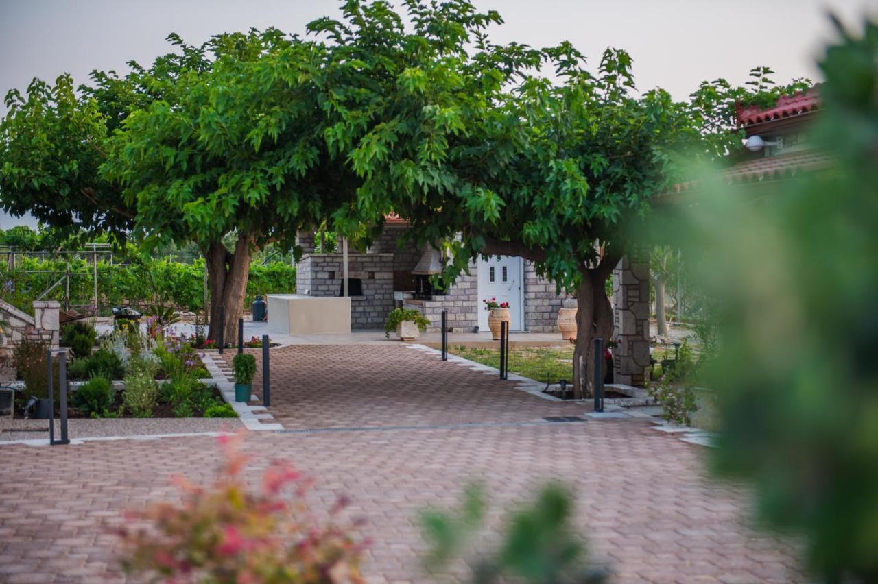 קיפריסיה Terra Helios Suites & Studios מראה חיצוני תמונה