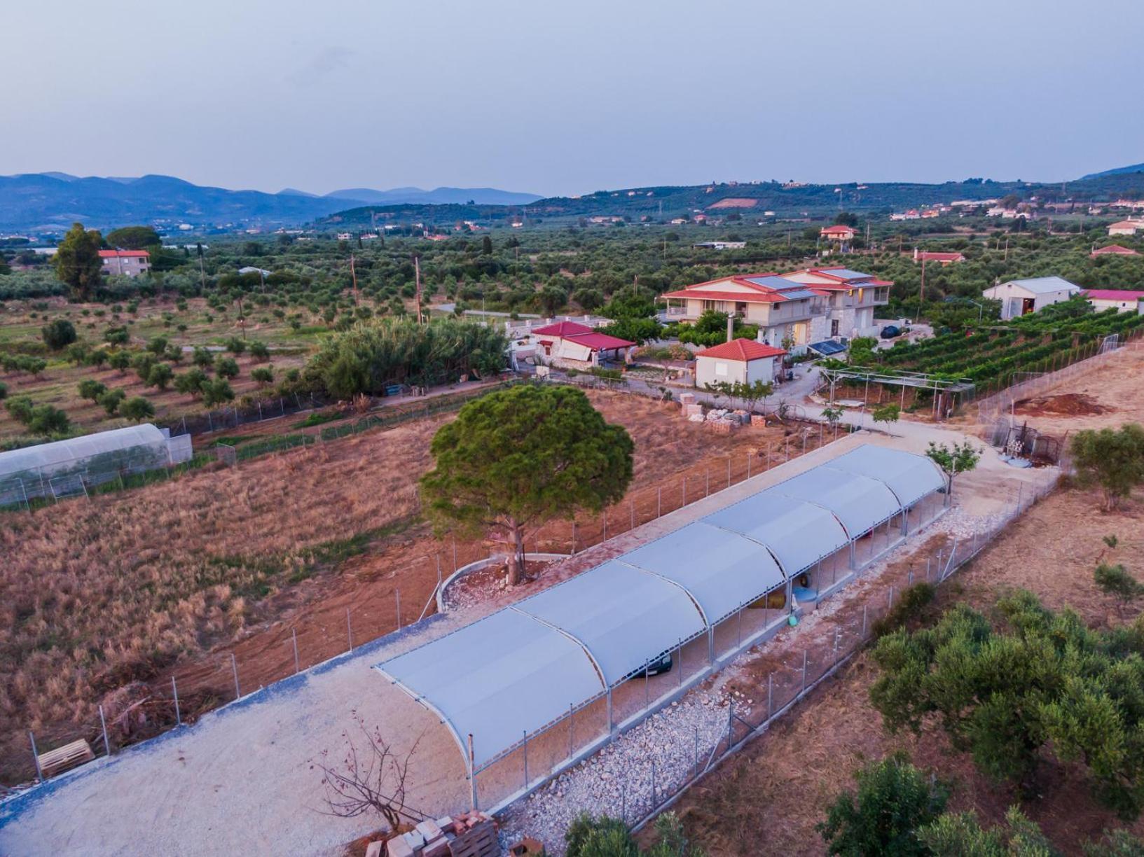 קיפריסיה Terra Helios Suites & Studios מראה חיצוני תמונה